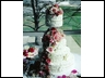 Stylized Waves with a Rose Cascade